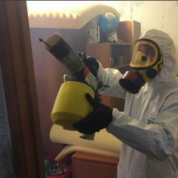 Уничтожение клопов в квартире. Листвянский